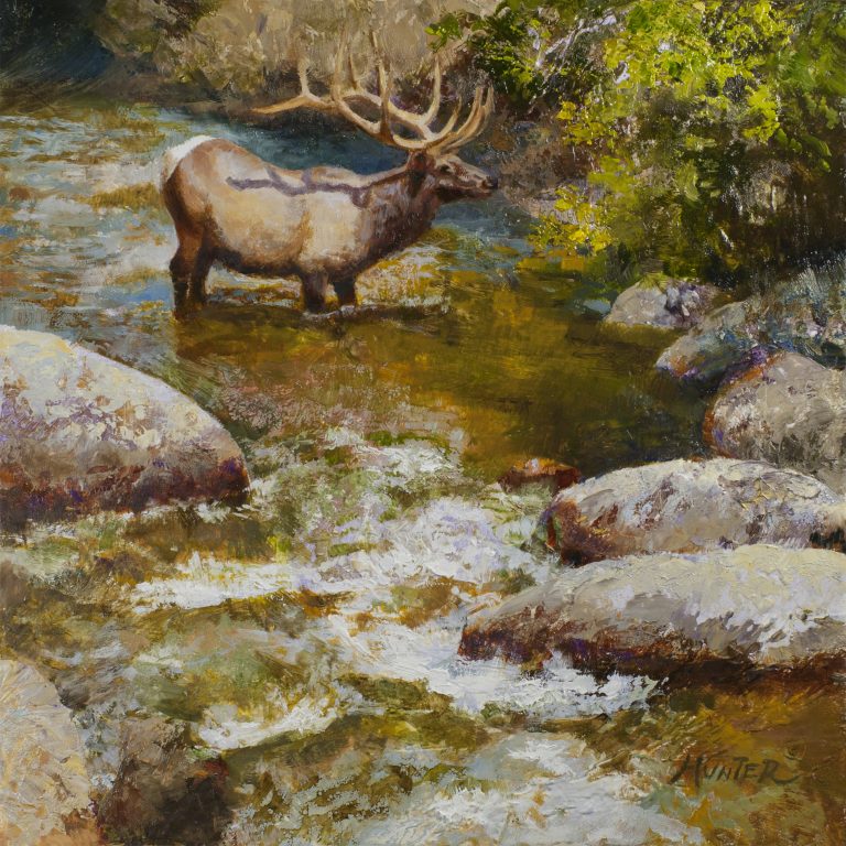 Fall River Elk